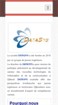 Mobile Screenshot of datasys-djib.com